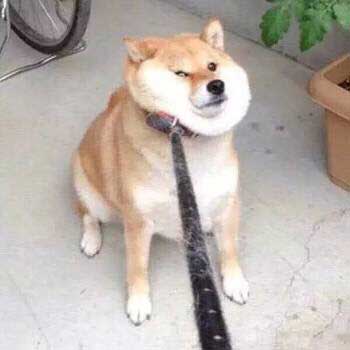 逗逼情侣头像